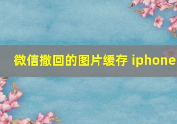 微信撤回的图片缓存 iphone